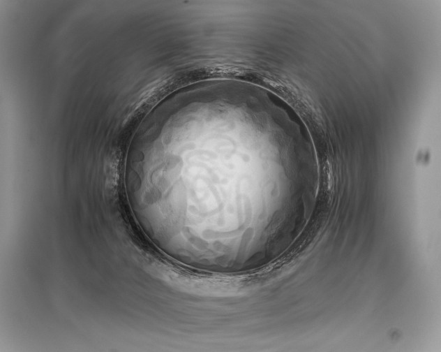 X0000096380032200801241247