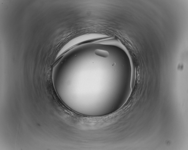X0000096380033200801241247