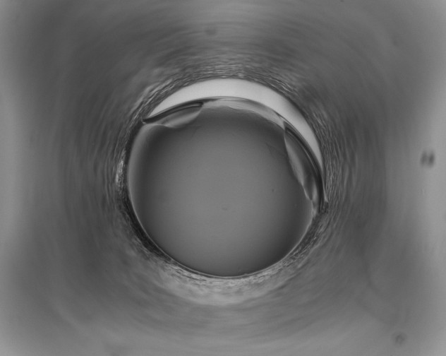 X0000096380035200801241247