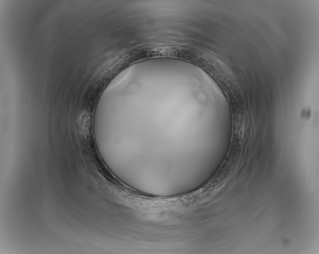 X0000096380036200801241247
