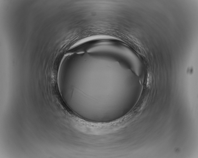 X0000096380039200801241247