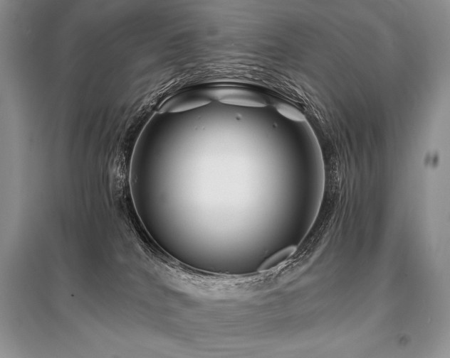 X0000096380040200801241247
