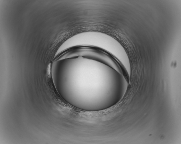 X0000096380041200801241247