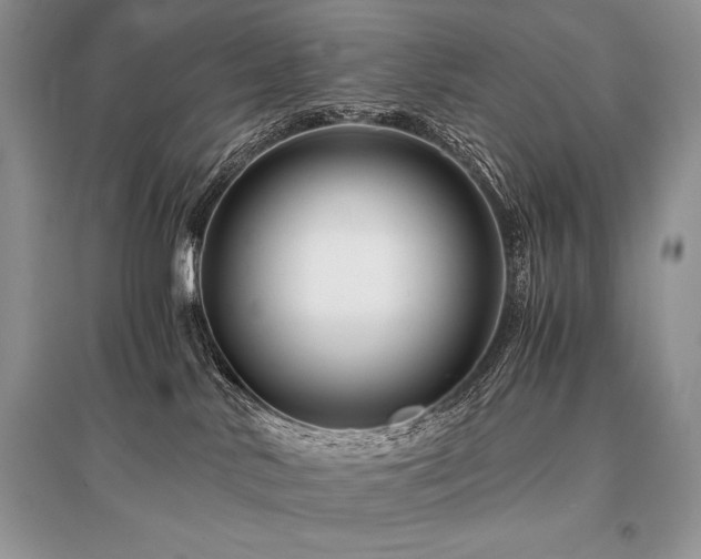 X0000096380042200801241247