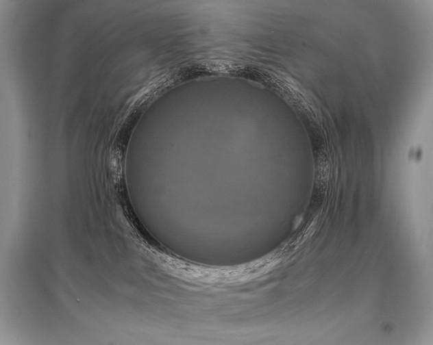 X0000096380043200801241247