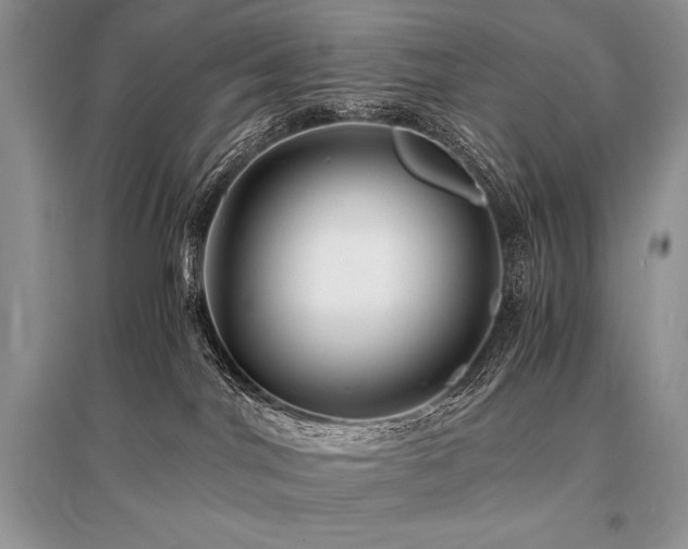 X0000096380044200801241247