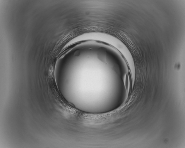 X0000096380045200801241247