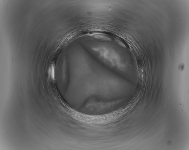 X0000096380046200801241247