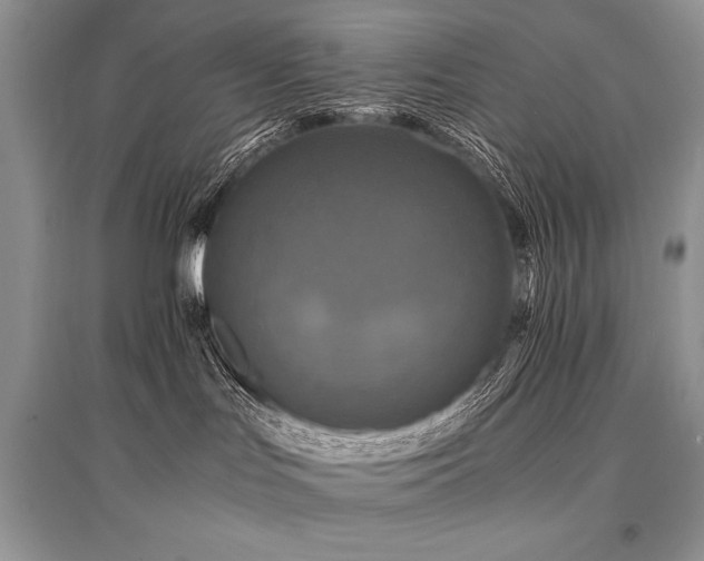 X0000096380047200801241247