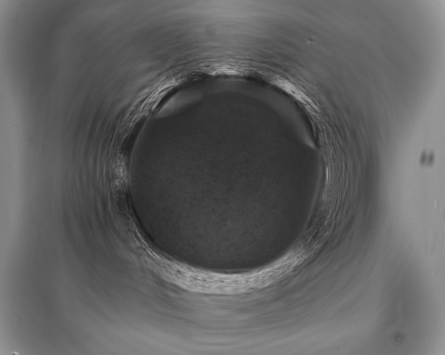 X0000096380048200801241247