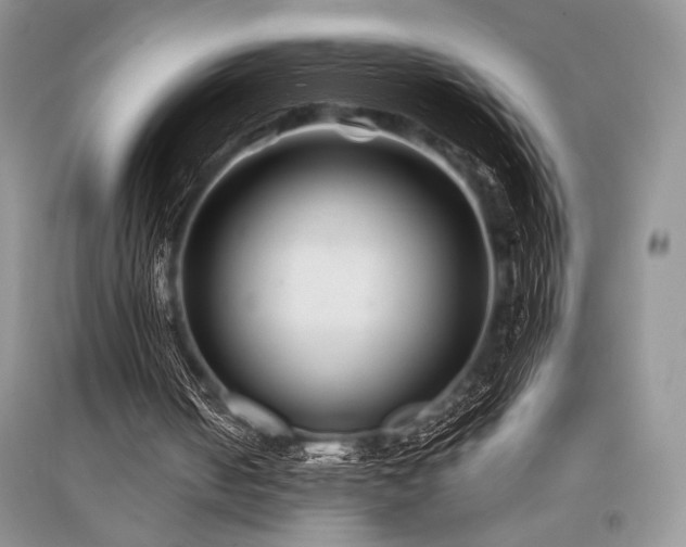 X0000096380050200801241246