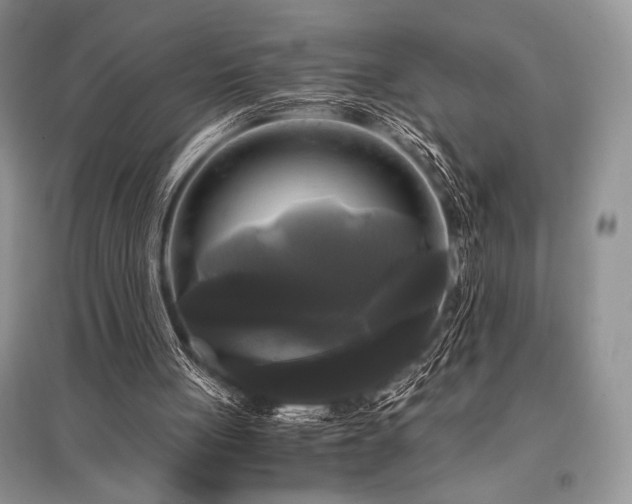X0000096380051200801241246