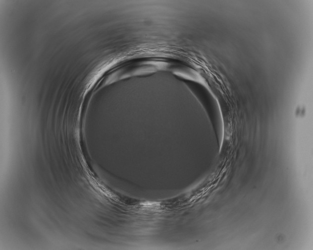 X0000096380052200801241246