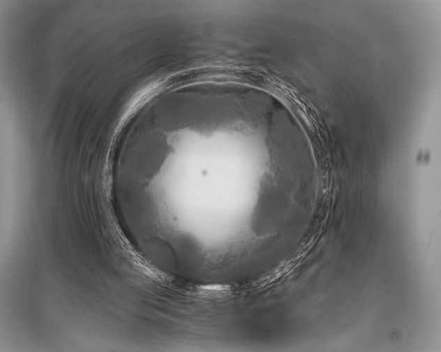 X0000096380053200801241246