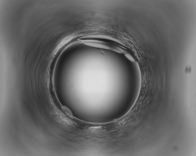 X0000096380054200801241246