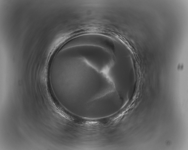 X0000096380055200801241246