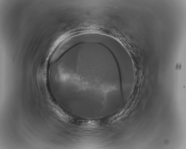 X0000096380056200801241246