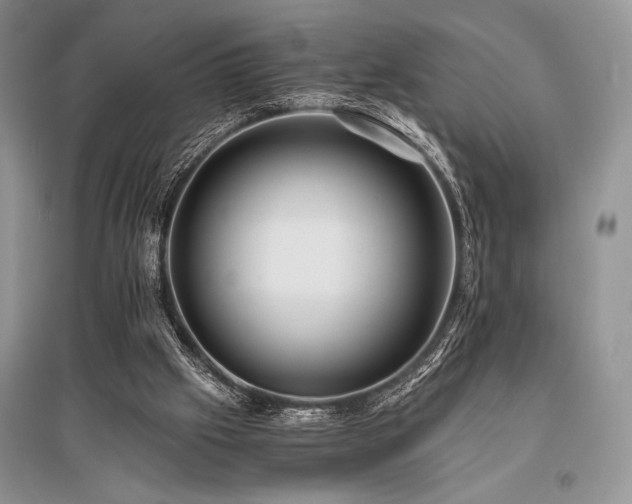 X0000096380057200801241246