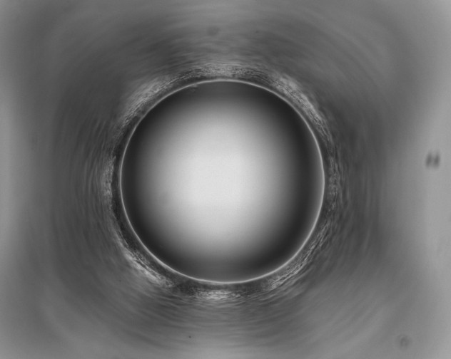 X0000096380058200801241246