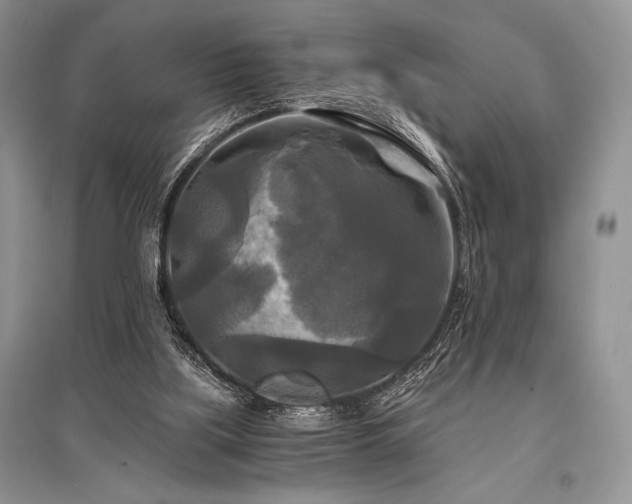 X0000096380059200801241246