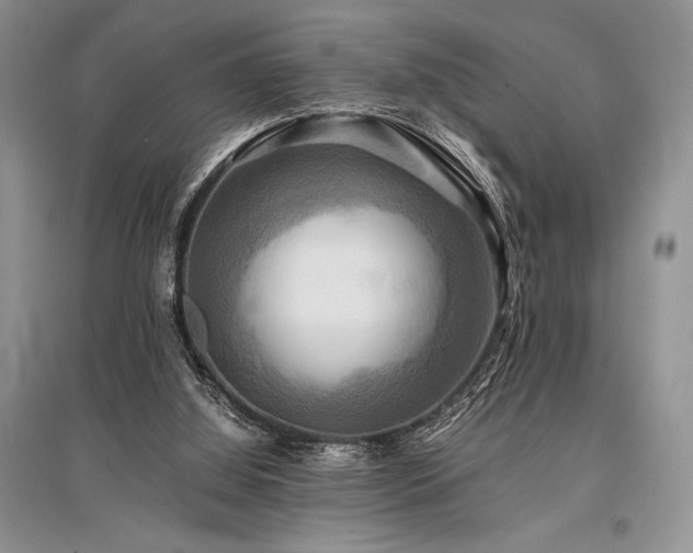 X0000096380060200801241246