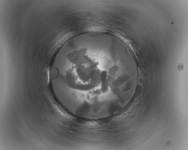 X0000096380061200801241246
