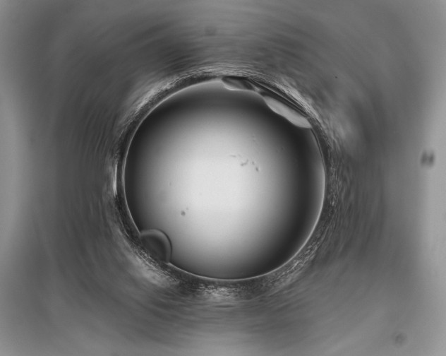 X0000096380062200801241246