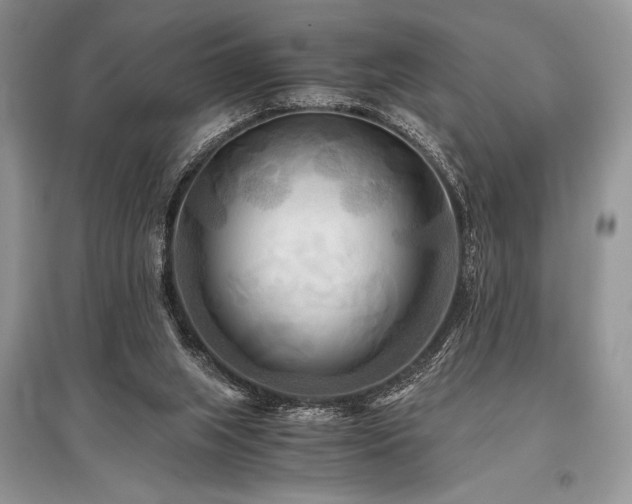 X0000096380063200801241247