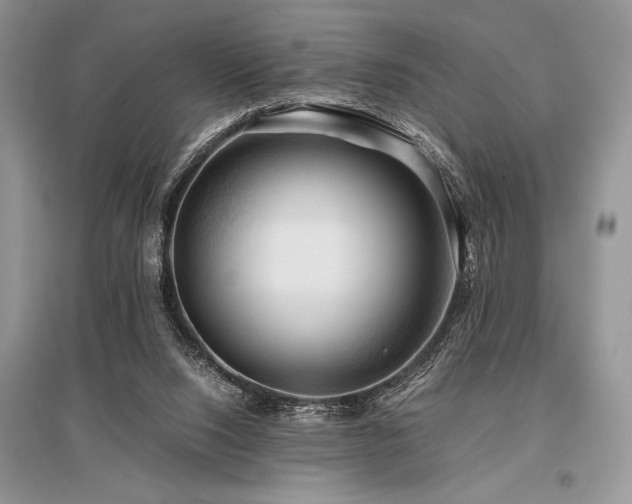 X0000096380064200801241247