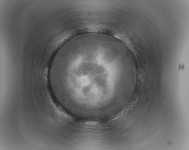 X0000096380066200801241247