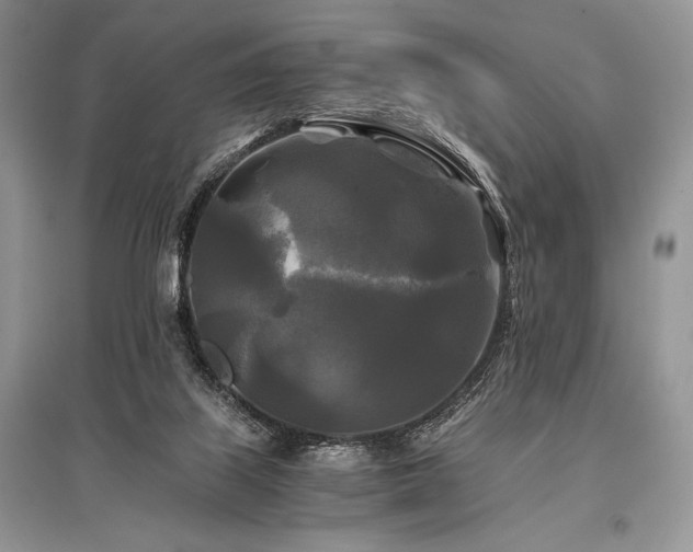X0000096380067200801241247