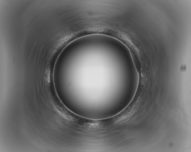 X0000096380068200801241247