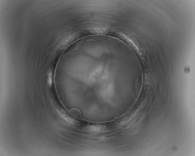 X0000096380069200801241247
