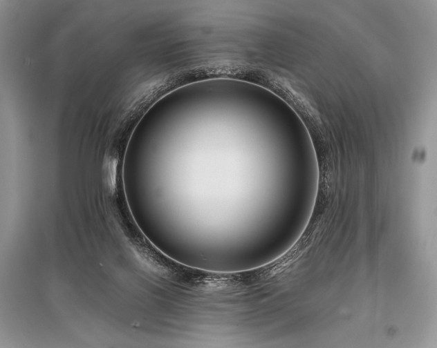 X0000096380070200801241247