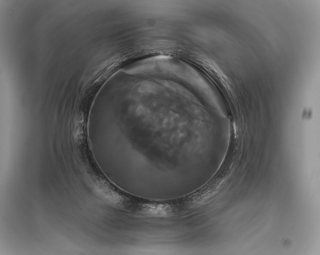 X0000096380073200801241247