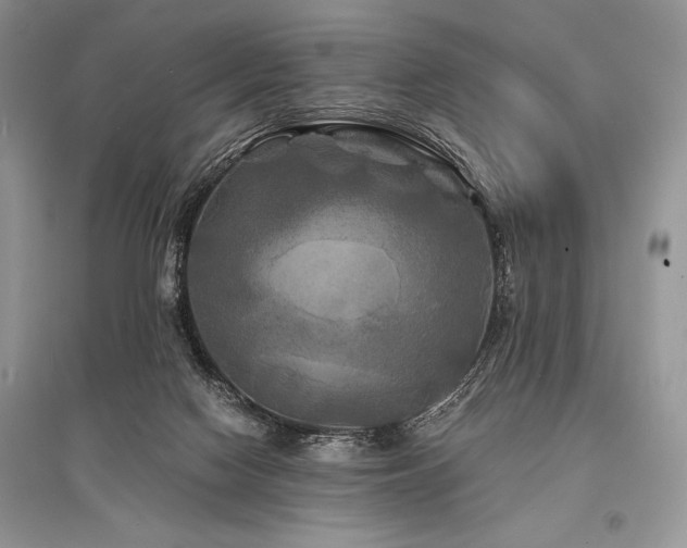 X0000096380074200801241247