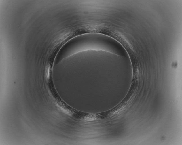 X0000096380076200801241247