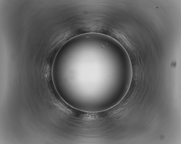 X0000096380077200801241247