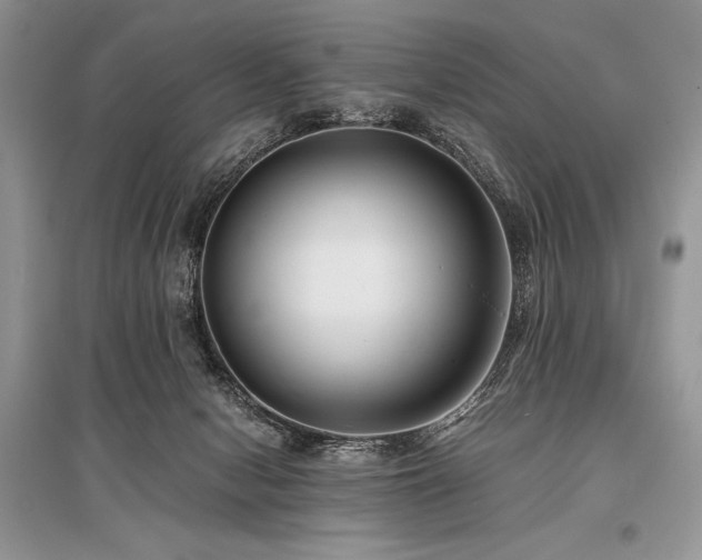 X0000096380078200801241247
