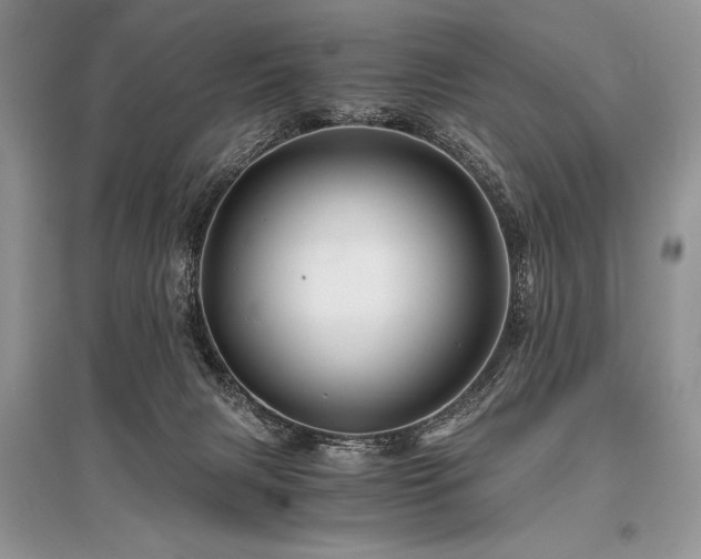 X0000096380079200801241247