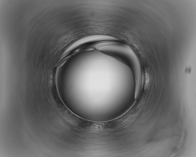 X0000096380080200801241247