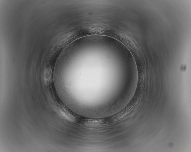 X0000096380081200801241247
