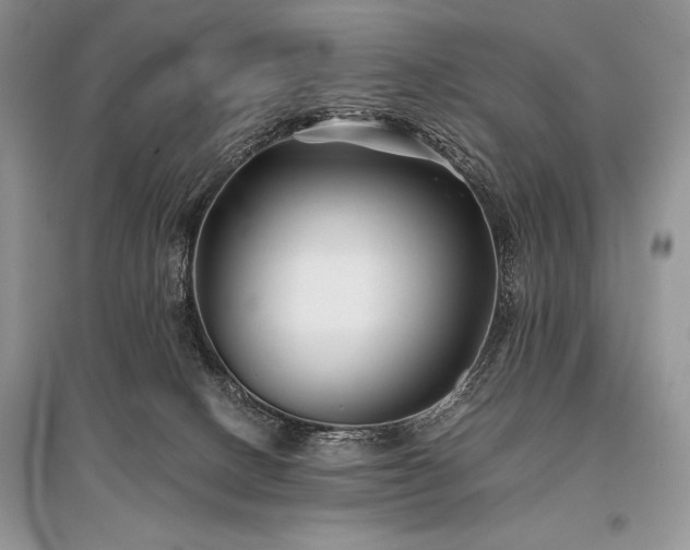 X0000096380082200801241247