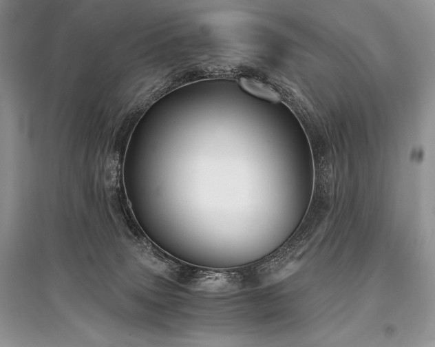 X0000096380083200801241247