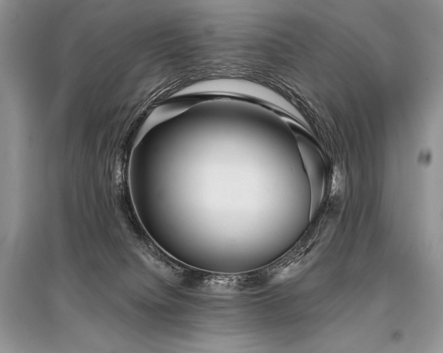 X0000096380084200801241247