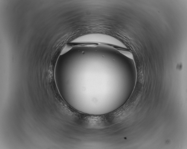 X0000096380085200801241247