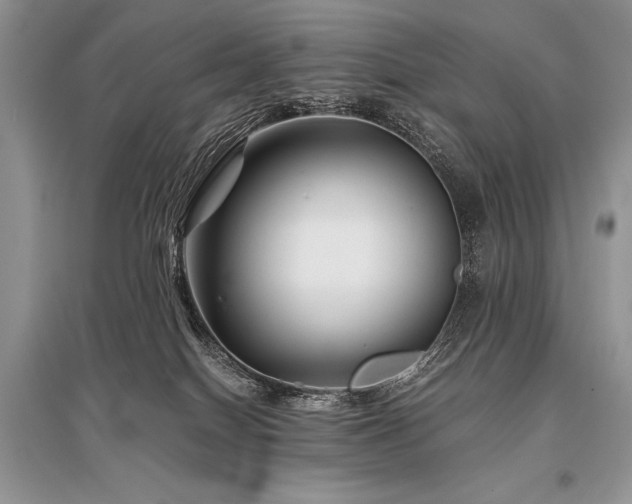 X0000096380086200801241247