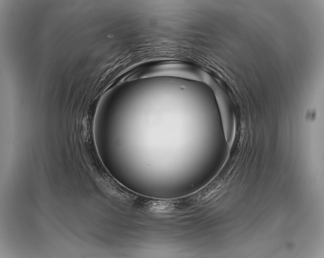 X0000096380088200801241247