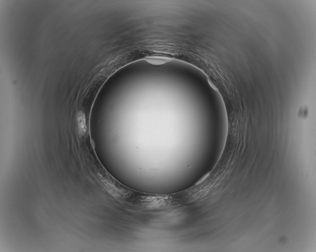 X0000096380089200801241247