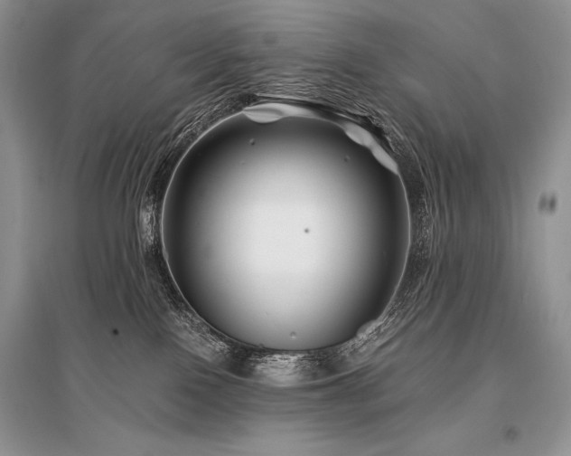 X0000096380090200801241247